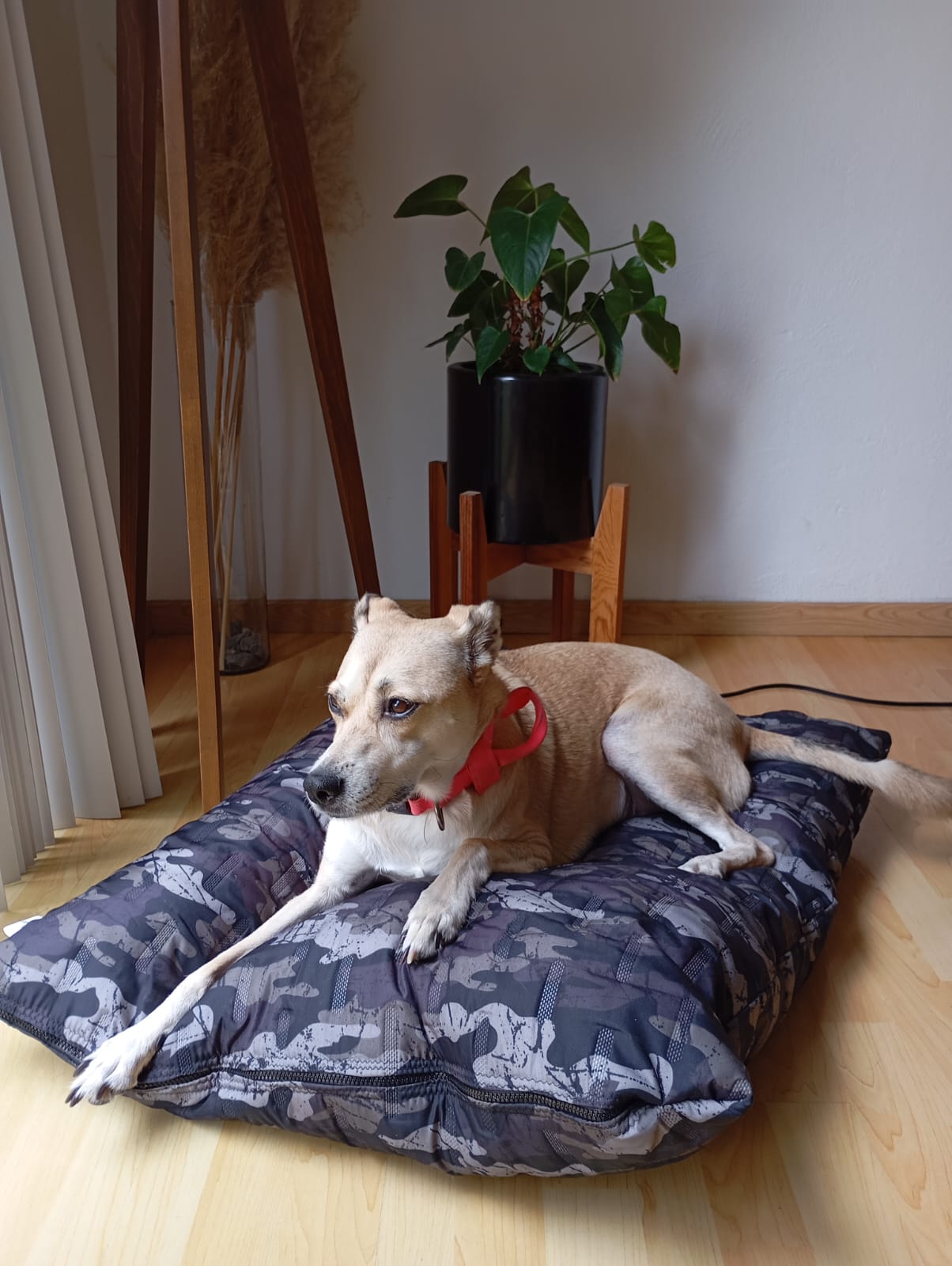 CAMA IMPERMEABLE