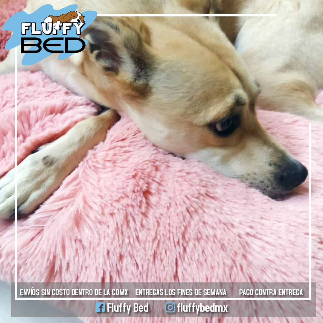 CAMA FLUFFY BED