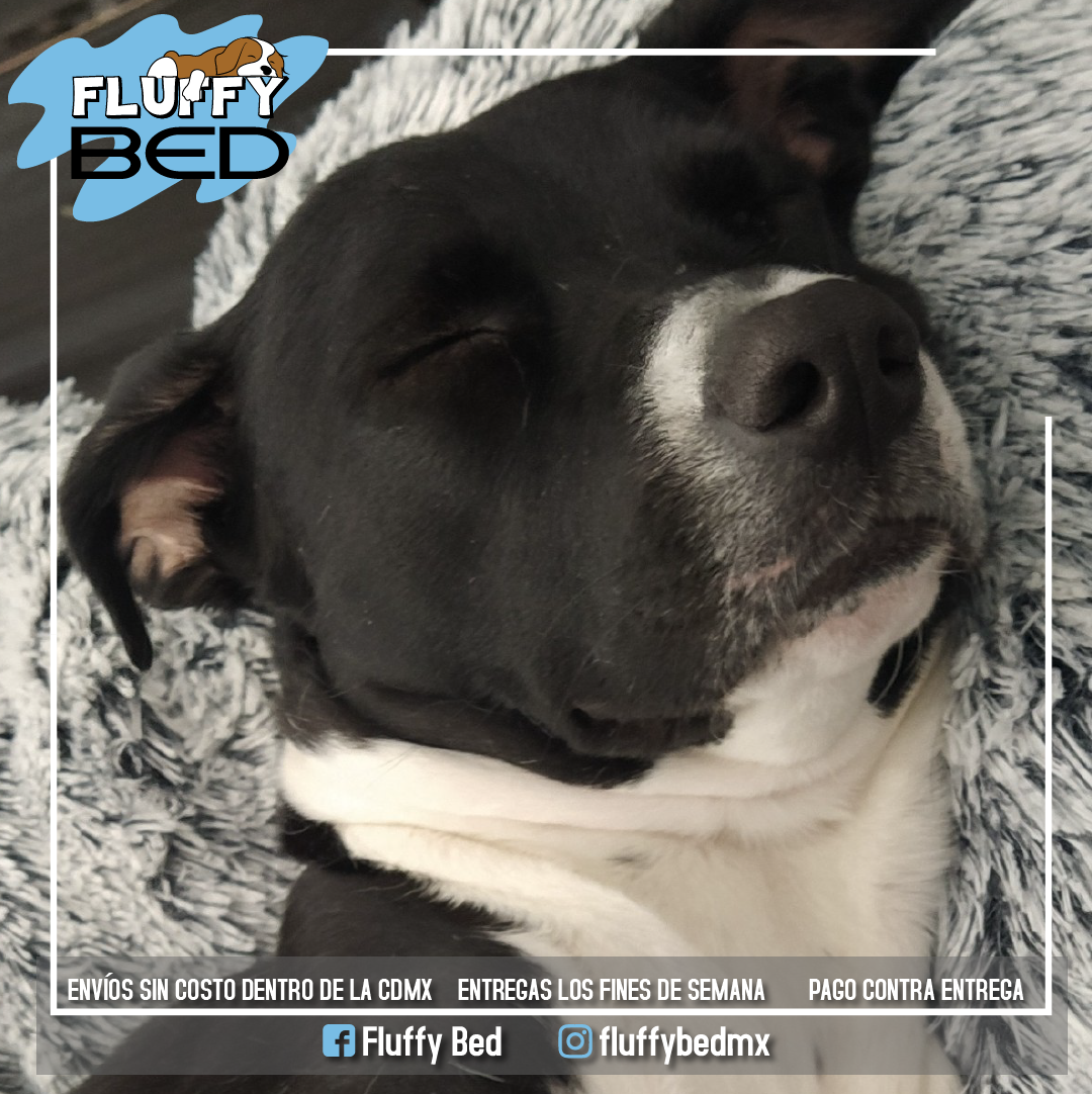 CAMA FLUFFY BED